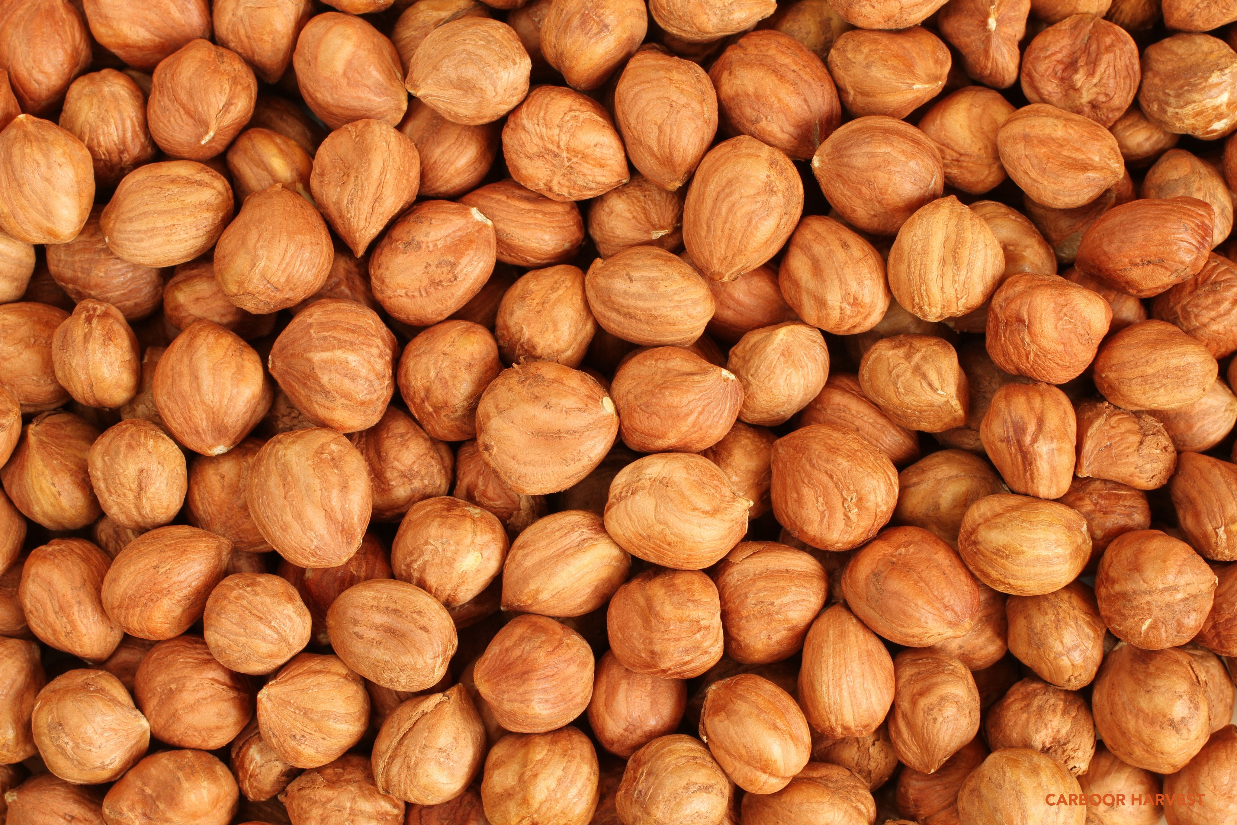 Shop For Bulk Nuts Online | Wholesale Australian Nuts – Carboor Harvest