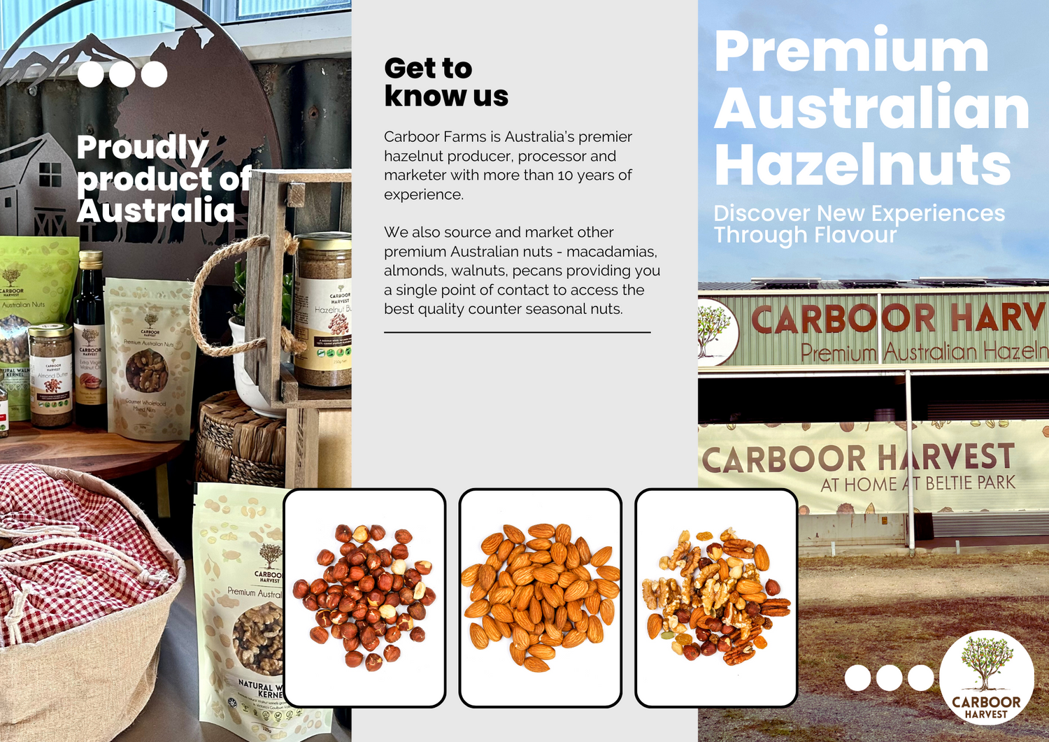 EBOOK:  Carboor Harvest Export Brochure